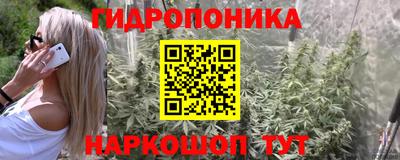 ECSTASY Лесосибирск