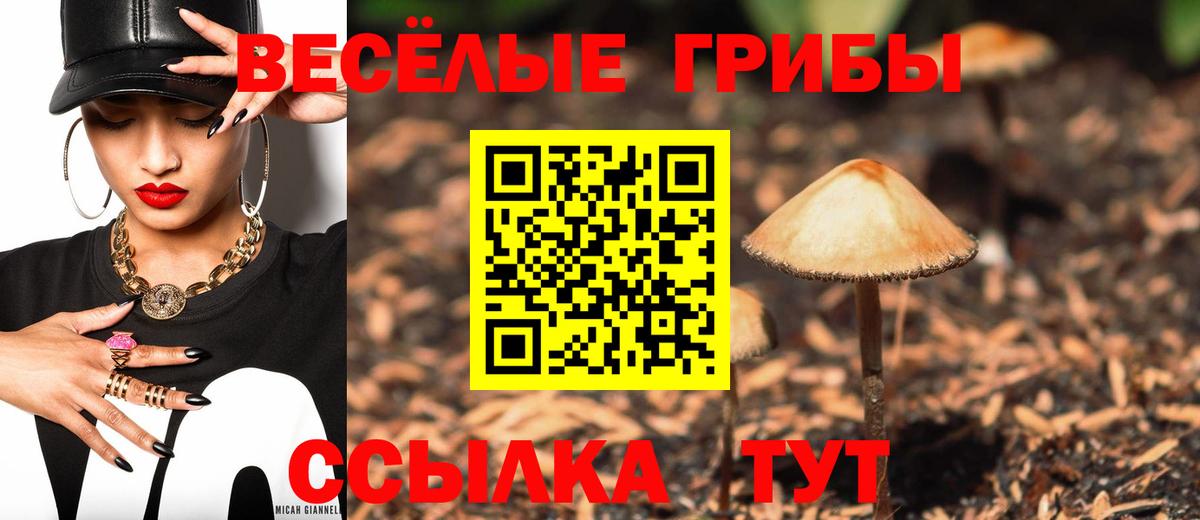 Галлюциногенные грибы ЛСД Шебекино